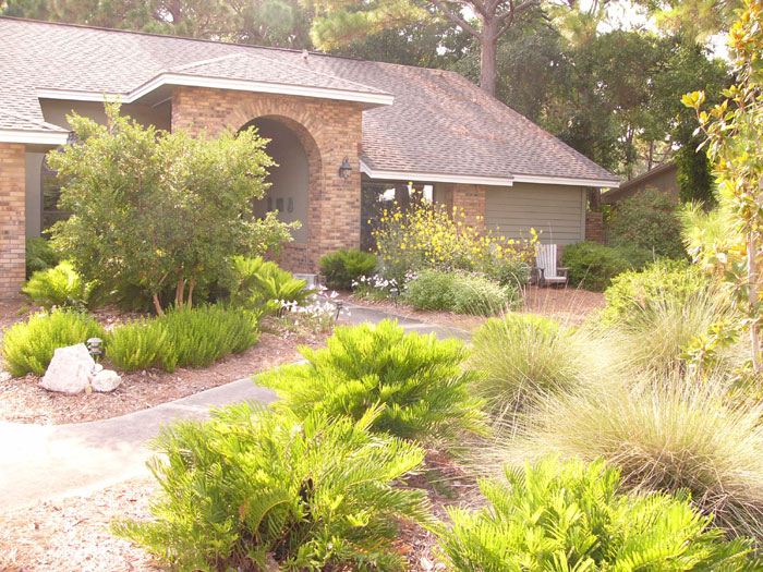 How To Develop A Florida Native Landscape Design