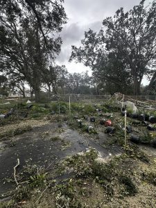Stormscaping – Getting Ready for Hurricane Season
