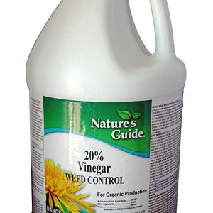 Vinegar 20% 1Gal
