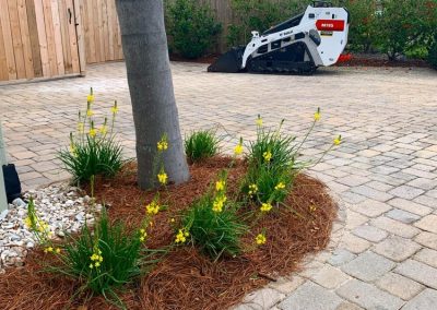 Landscape Design Projects