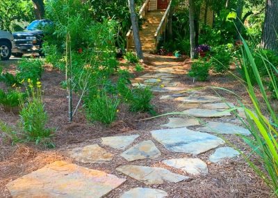 Landscape Design Projects