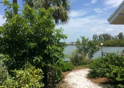 Sally’s backyard pathway