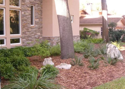 Native landscapes can fit traditional neighborhoods