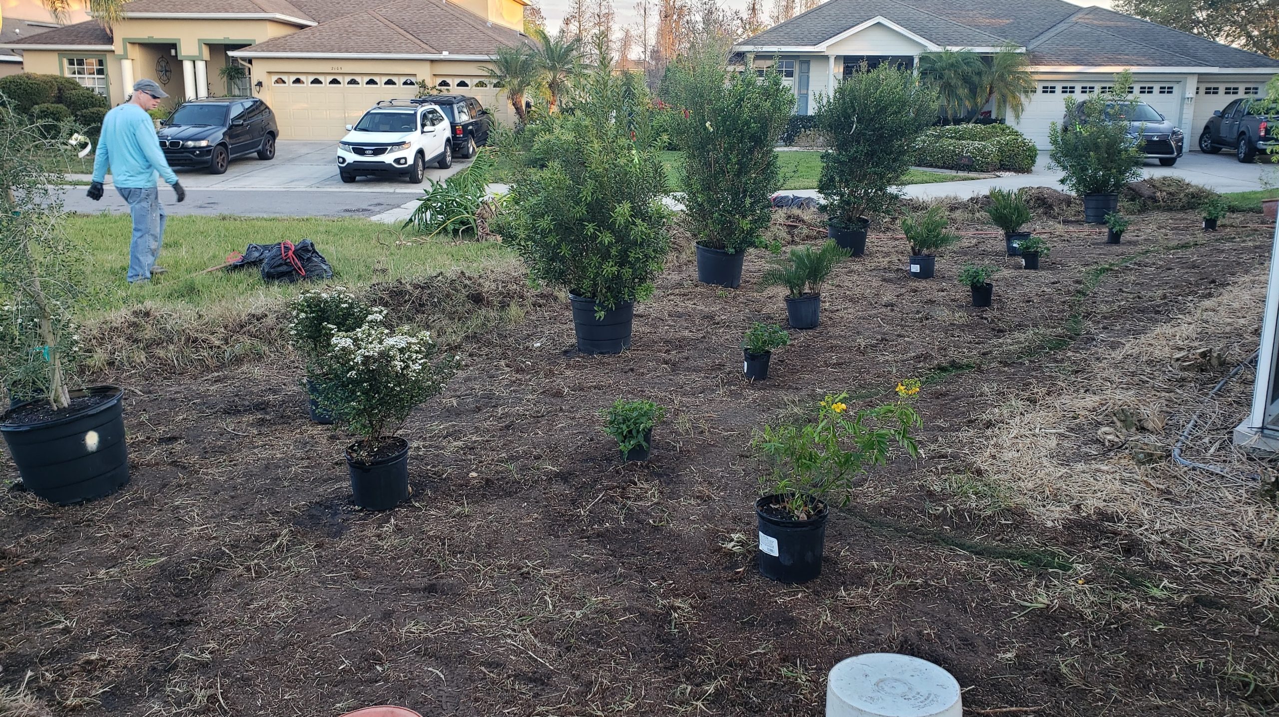 Landscape Consulting