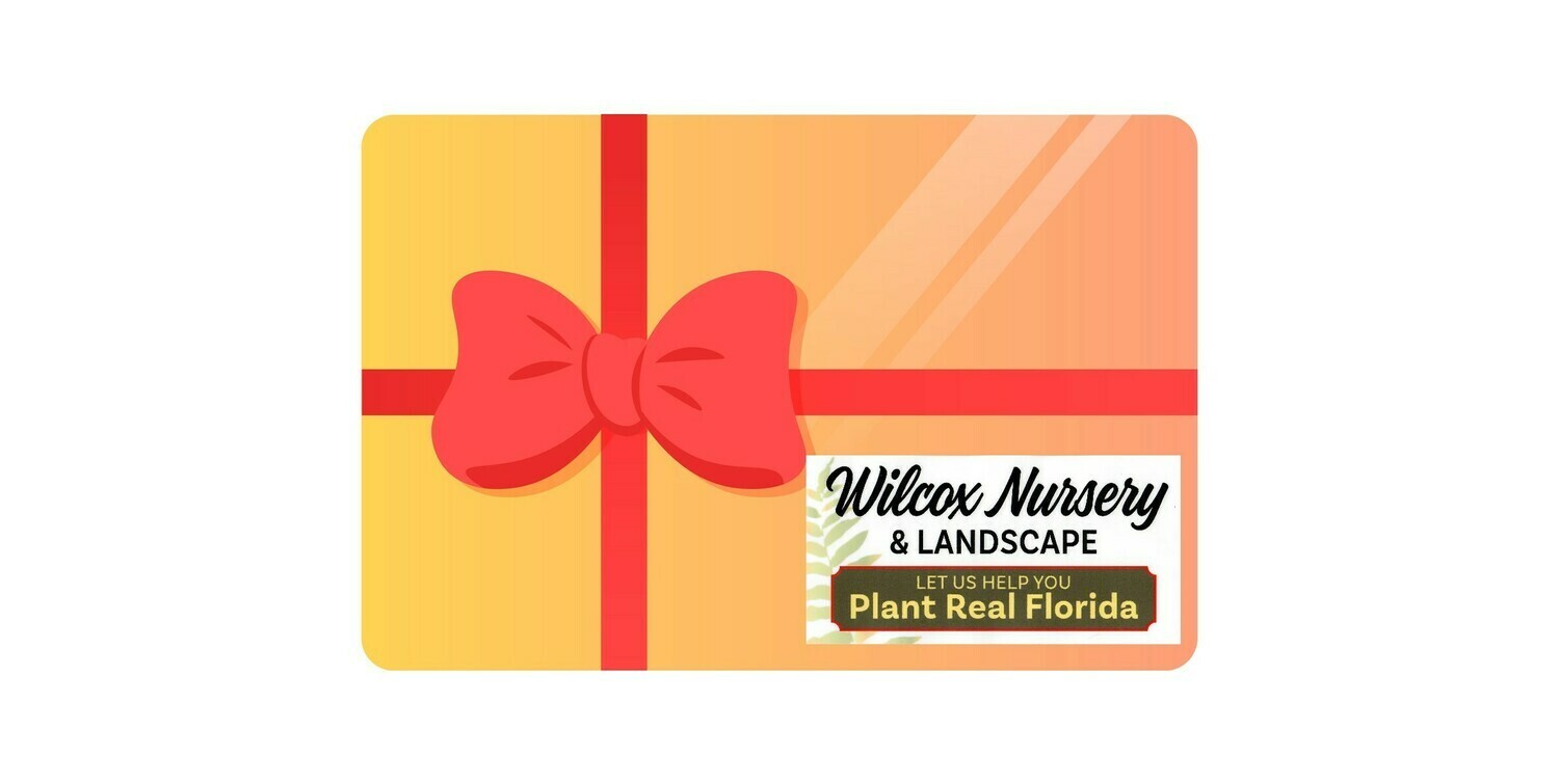 Books, Gifts and Gift Cards