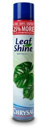 Leaf Shine