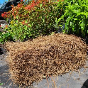 Baled Pine Straw