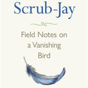 Florida Scrub-Jay (Walters)