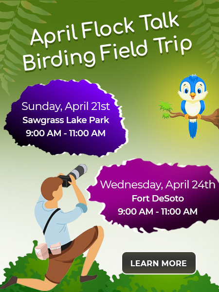 April Flock Talk Birding Field Trip