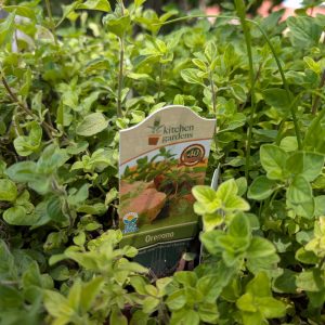 Herbs (In-store Only)