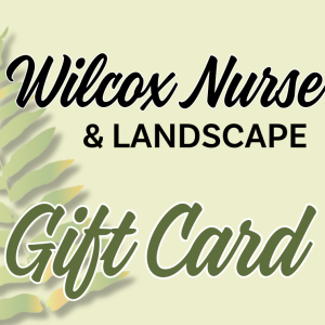 Digital Gift card