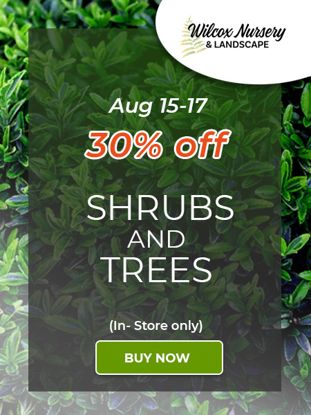 Trees and Shrubs