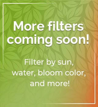 More filters coming soon!