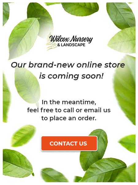 Our brand-new online store is Coming Soon!