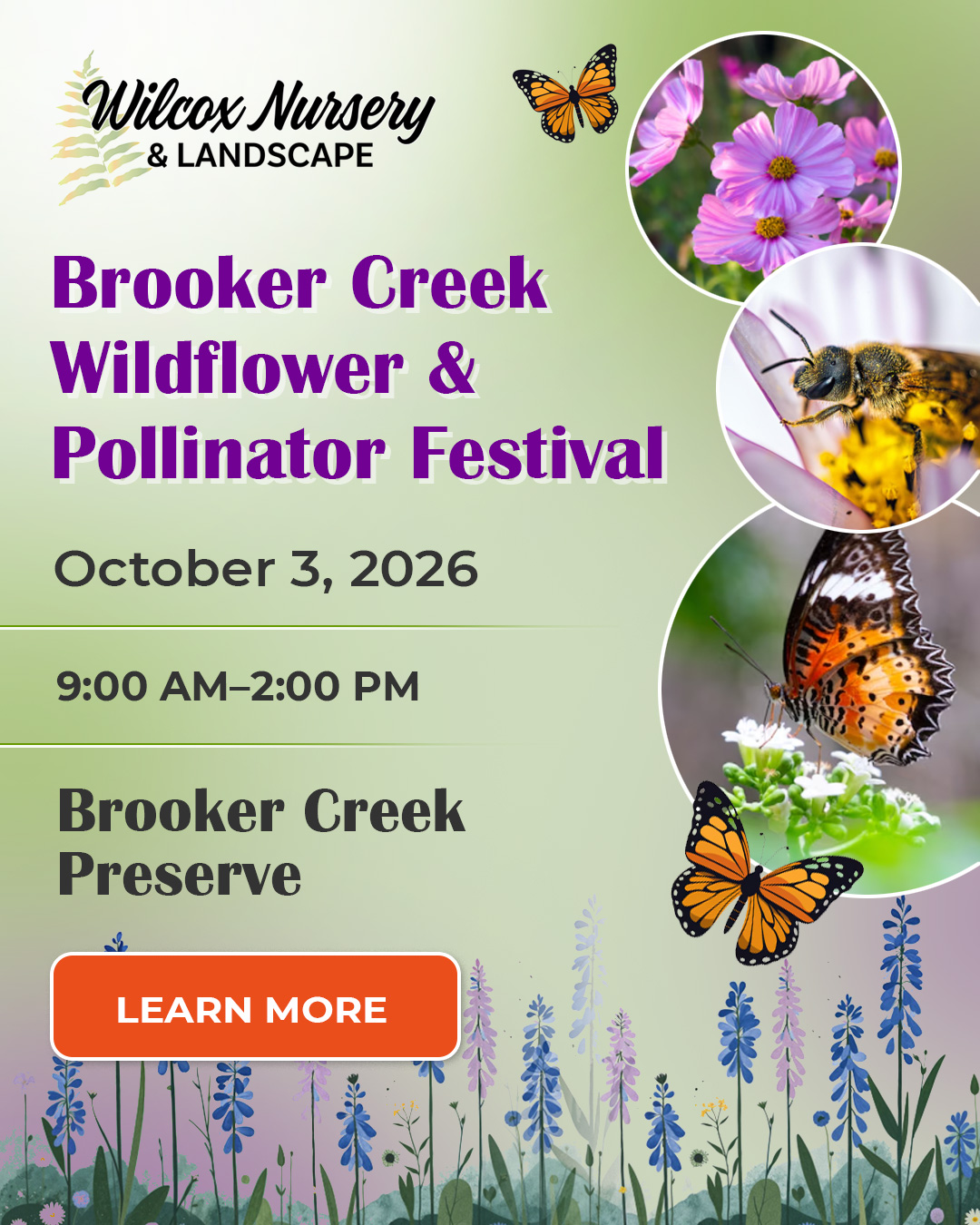 Brooker Creek Wildflower and Pollinator Festival